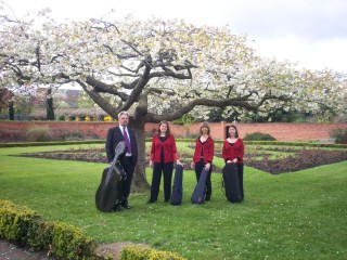 Greenwich String Quartet